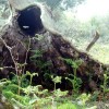 2007.04.01. - Samothraki
